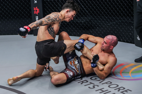 A Step-by-Step Guide to Using Reddit for MMA Streams